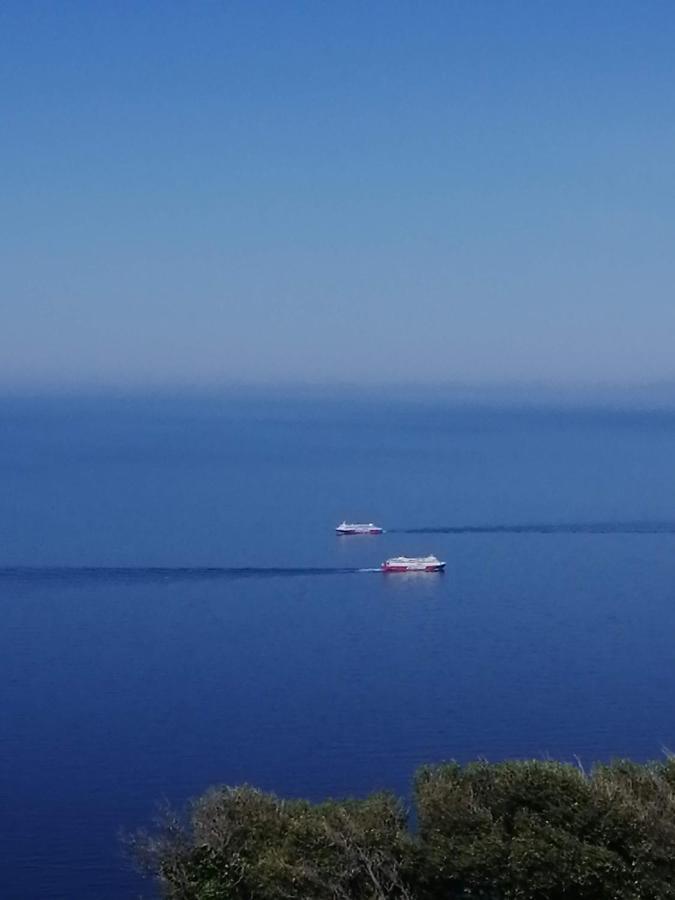 Апартаменты Aegean Deep Blue Andros Ano Aprovato Экстерьер фото